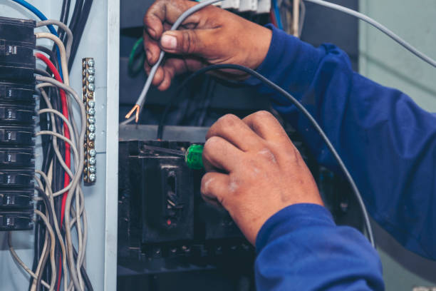 Best Electric Panel Repair  in Manhasset Hills, NY